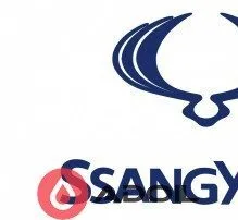 Система защиты моторного отсека Кольчуга премиум, Ssang Yong Rexton