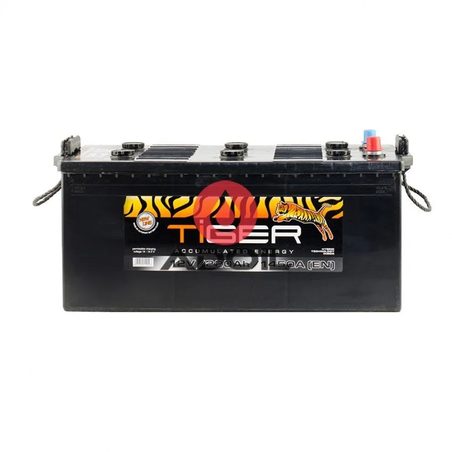 220 Ah/12V Tiger(3)