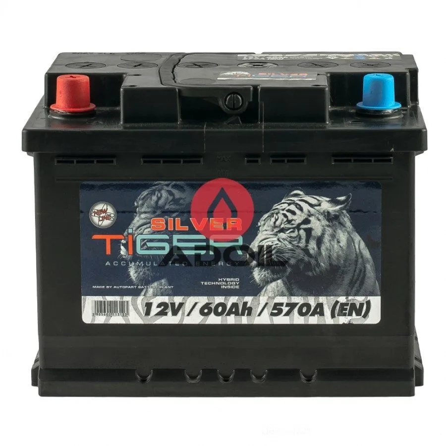 60Аh/12V Silver Tiger Japan (1)