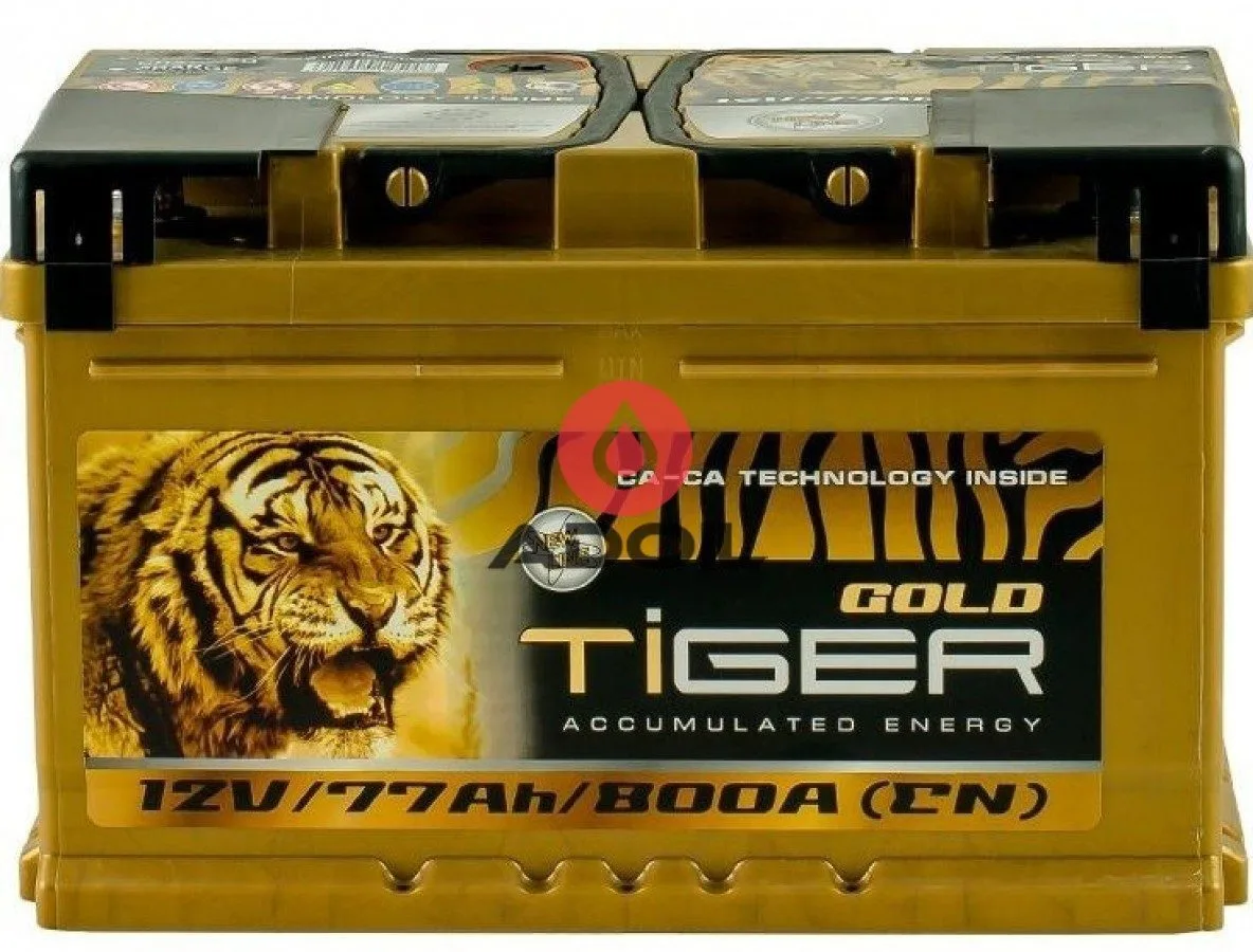 77Аh/12V Gold Tiger Euro(0)